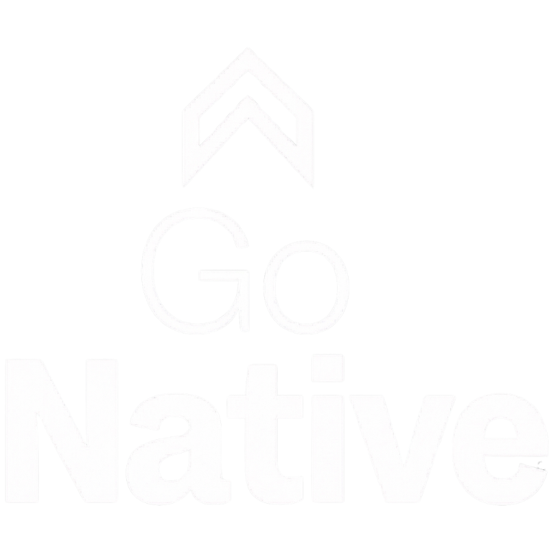 GoNative — World Cup 2026 Travel Guide for Mexico